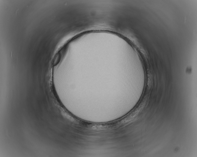 X0000094061366200711161515