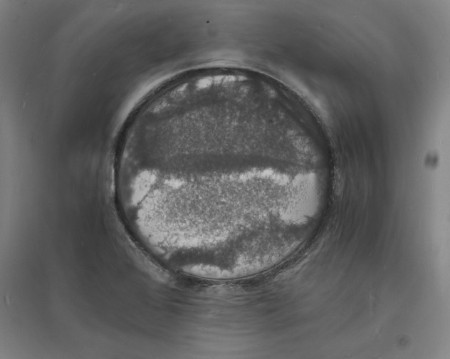 X0000094061368200711161515