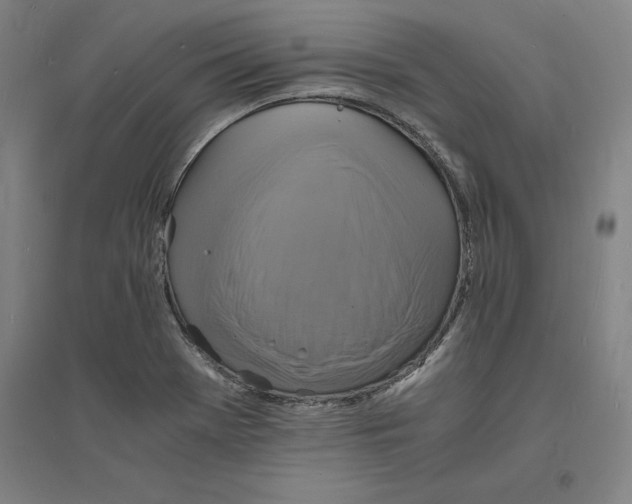 X0000094061369200711161515