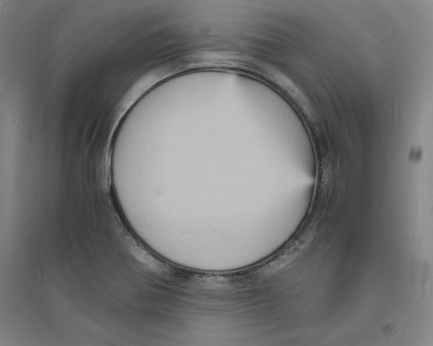 X0000094061370200711161515