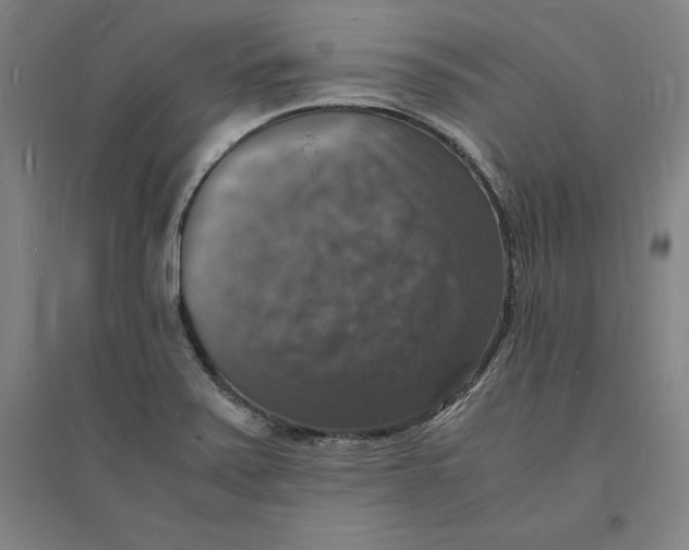 X0000094061371200711161515