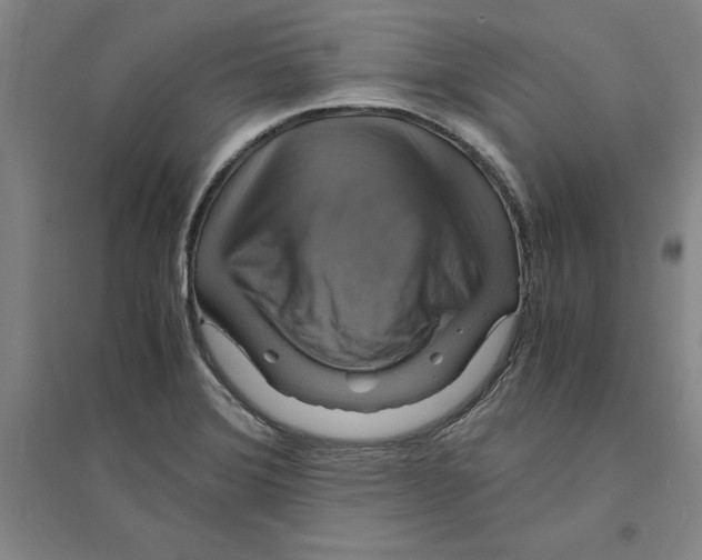 X0000094061372200711161515