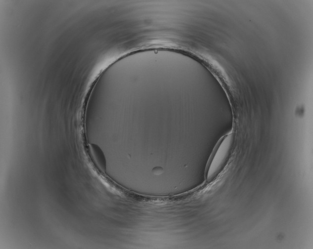 X0000094061373200711161515