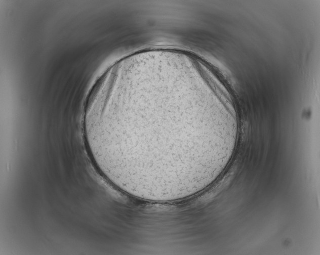 X0000094061374200711161515