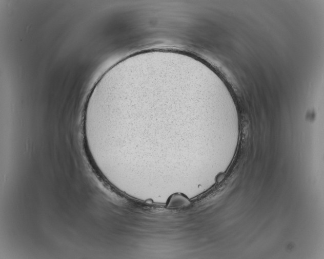 X0000094061375200711161515