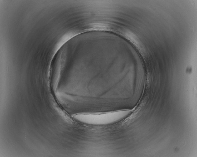 X0000094061378200711161514