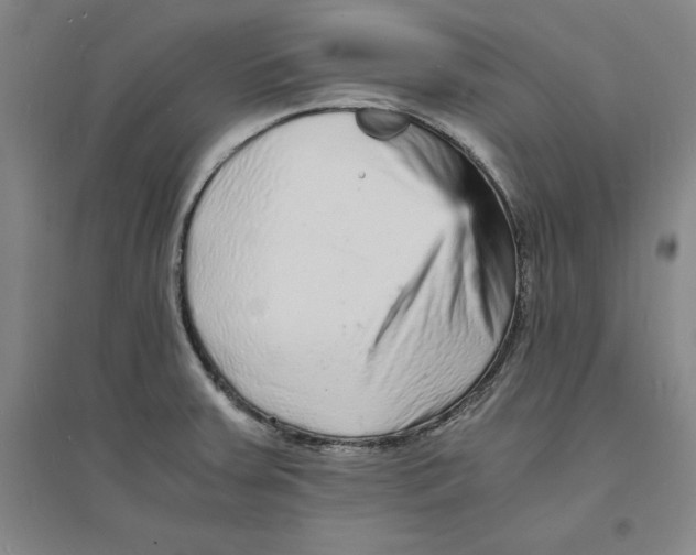 X0000094061379200711161514