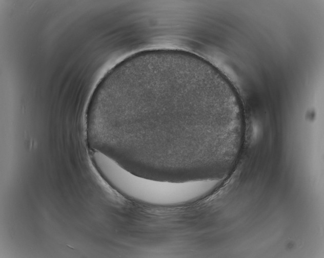 X0000094061380200711161514