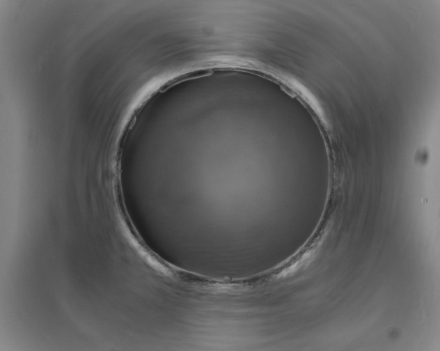 X0000094061381200711161514