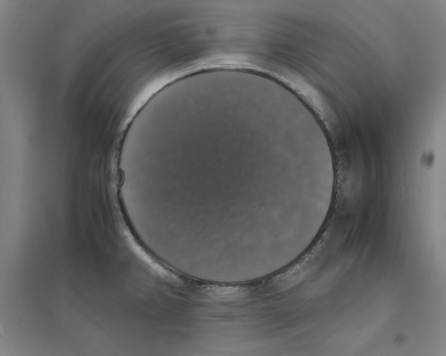 X0000094061382200711161514