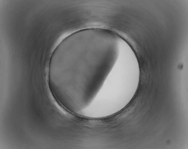 X0000094061383200711161514