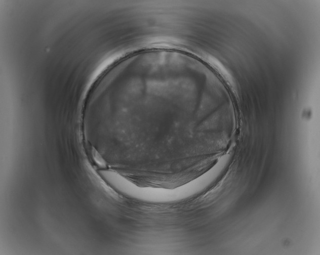 X0000094061384200711161514