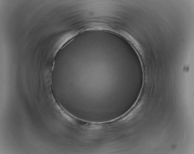 X0000094061385200711161514