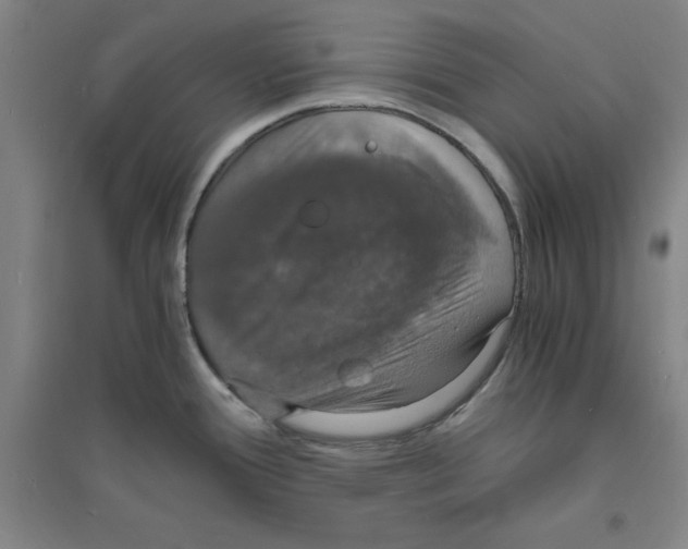 X0000094061388200711161514