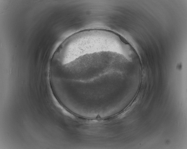 X0000094061390200711161514