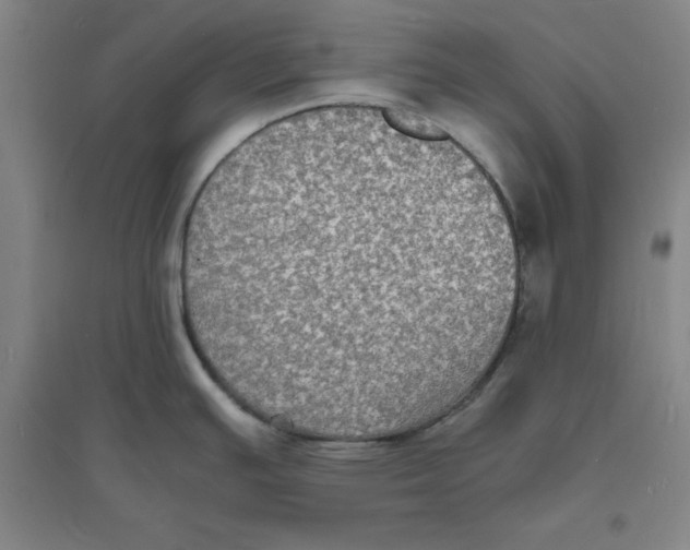 X0000094061391200711161514