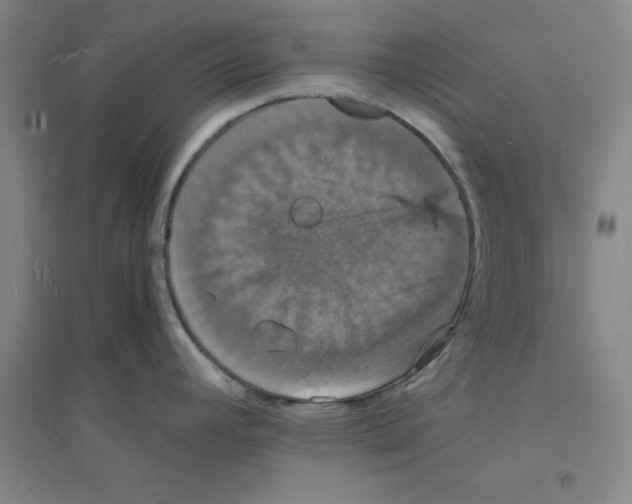 X0000094061392200711161514