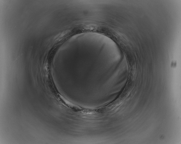 X0000094061394200711161514