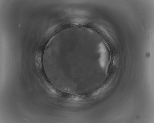 X0000094061396200711161514