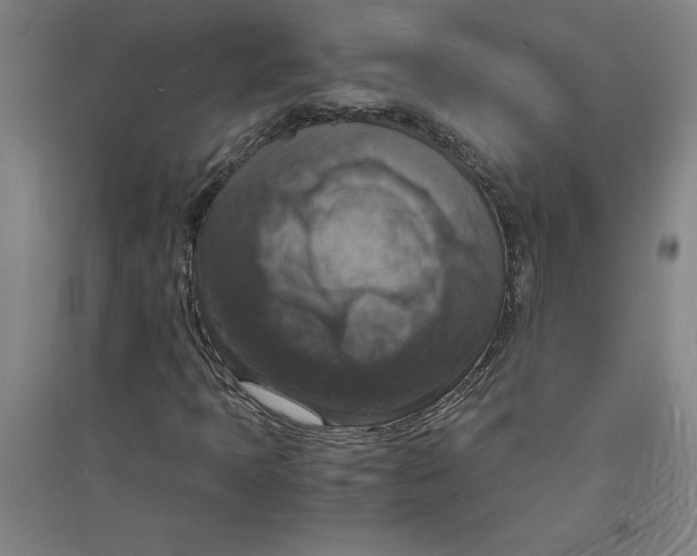 X0000094061397200711161514