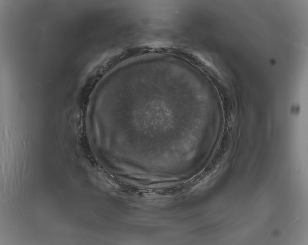 X0000094061398200711161514