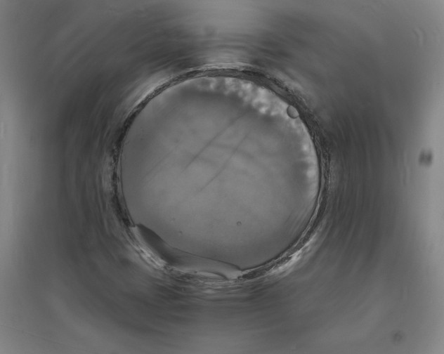 X0000094061401200711161514