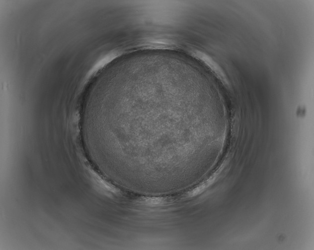 X0000094061402200711161514