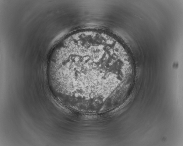 X0000094061403200711161514