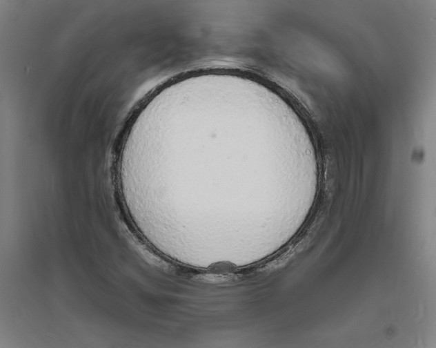 X0000094061404200711161514