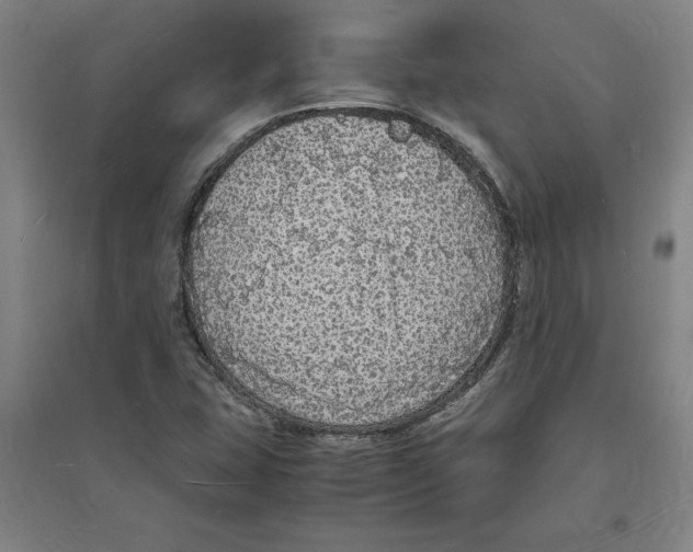 X0000094061407200711161514