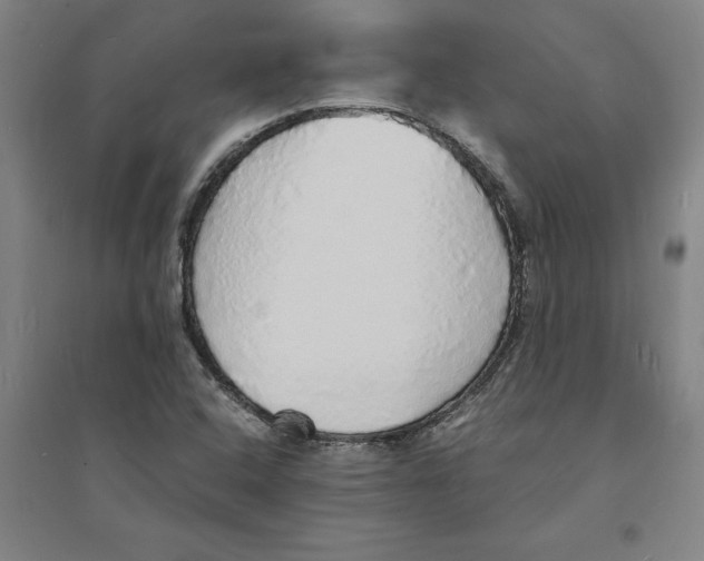 X0000094061408200711161514