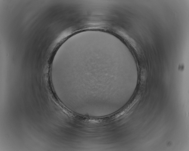 X0000094061411200711161514