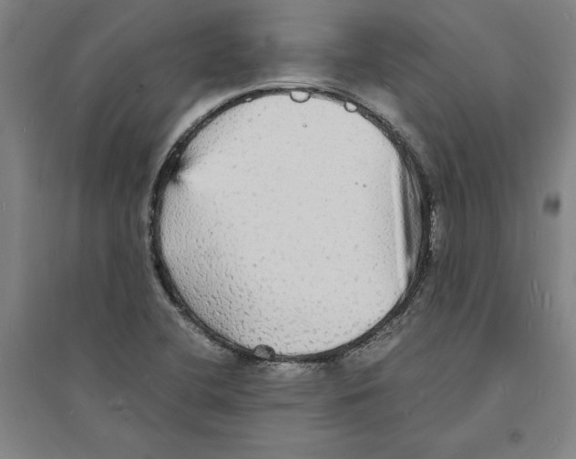 X0000094061412200711161514