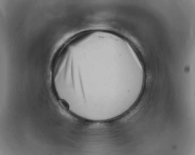 X0000094061414200711161514