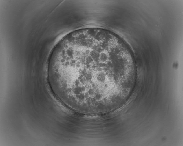 X0000094061415200711161514