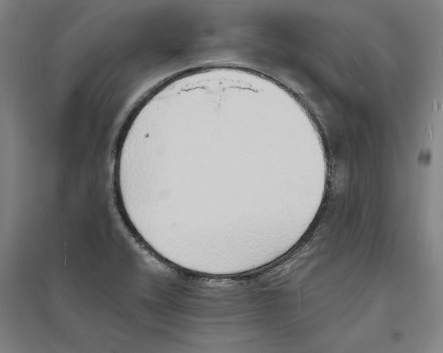 X0000094061416200711161514