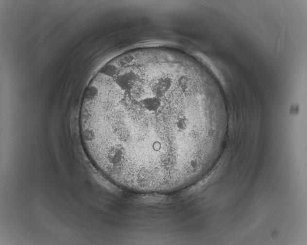 X0000094061417200711161514