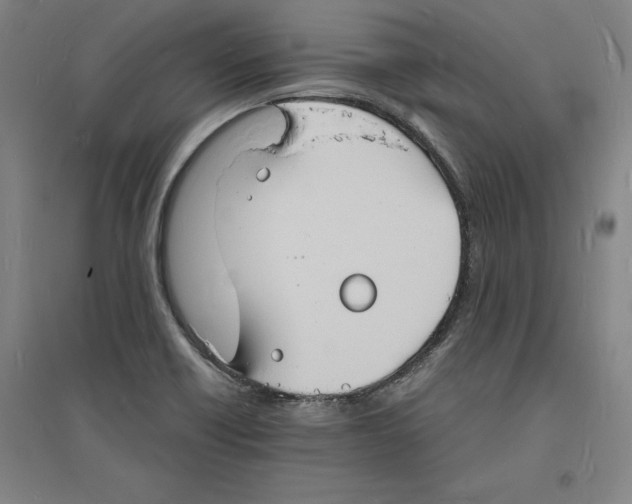 X0000094061418200711161514