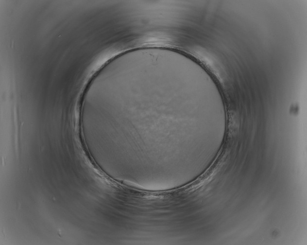 X0000094061419200711161514