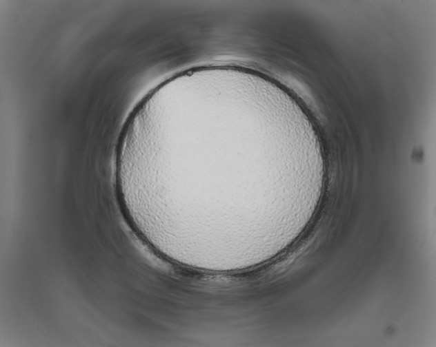 X0000094061420200711161514