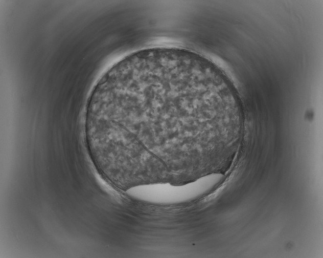 X0000094061421200711161514