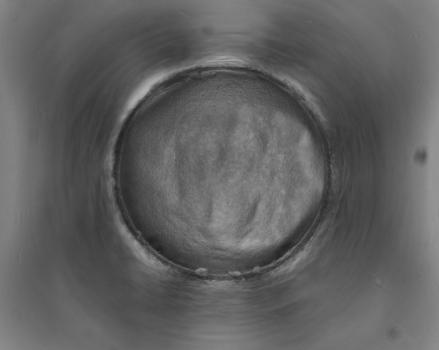 X0000094061422200711161514