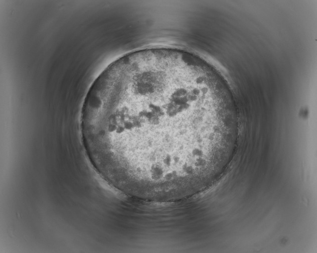 X0000094061423200711161514