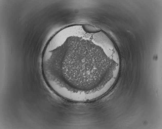 X0000094061424200711161514