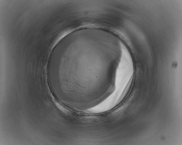 X0000094061425200711161514