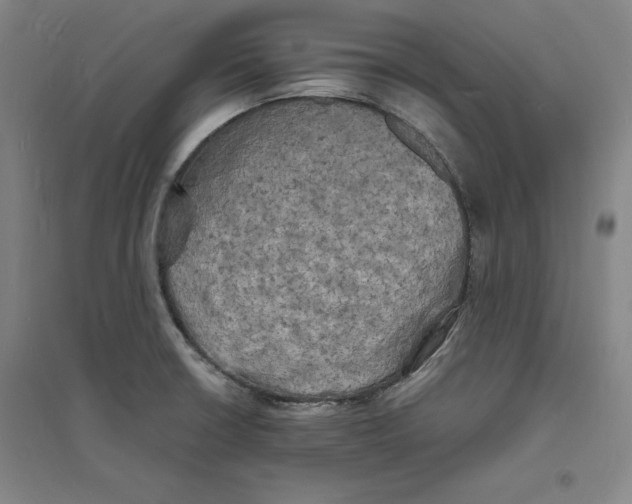 X0000094061426200711161514