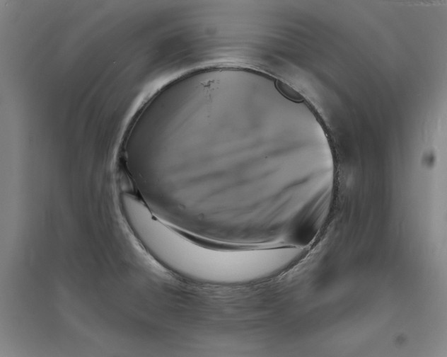 X0000094061428200711161514