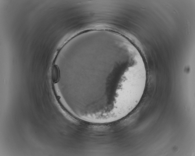 X0000094061429200711161514