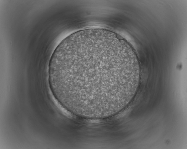 X0000094061431200711161514