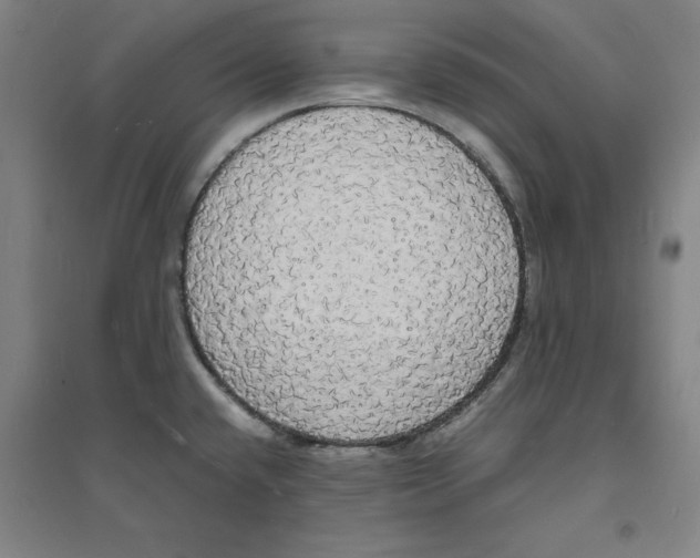 X0000094061432200711161514